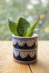 Hand Painted Planter With Plant