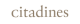 Citadines-Logo-resize-300x89-2.png